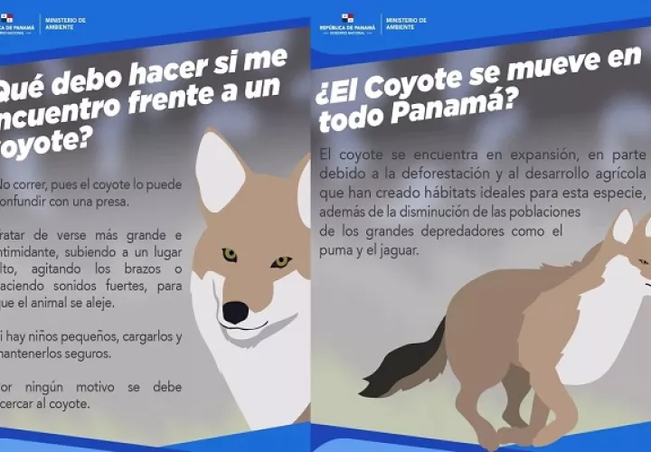 Guía compartida por MiAmbiente.
