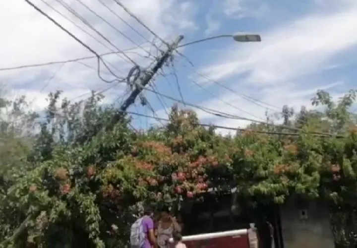 Se recomienda a la población alejarse de árboles y del tendido eléctrico. Foto. Mayra Madrid