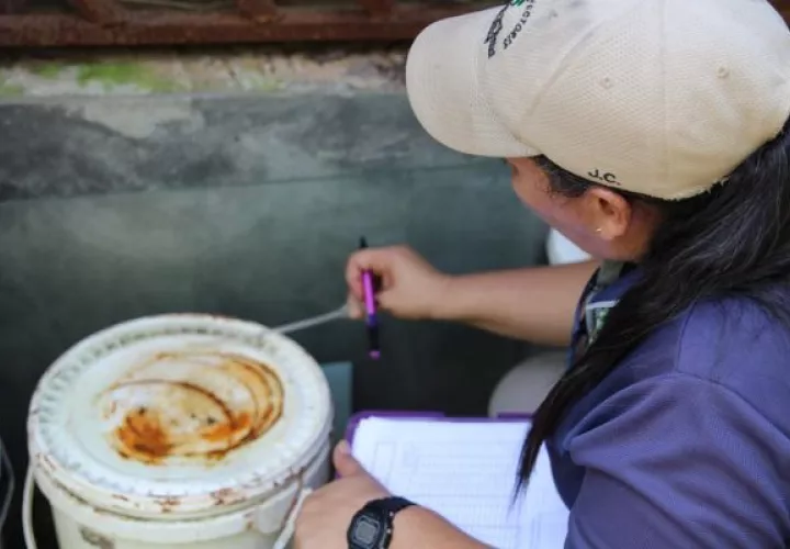 Se deben eliminar los criaderos de mosquitos para evitar enfermedades. Foto: Cortesía