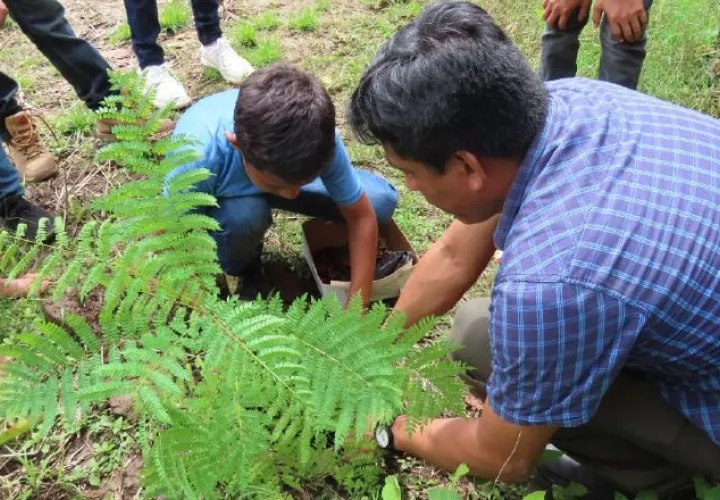 La Educación Ambiental  juega un papel esencial para el modelaje de conductas que favorezcan el entorno. Foto: Archivo