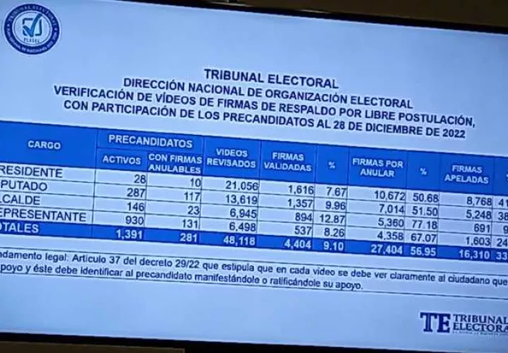 Cuadro presentado por el Tribunal Electoral en el que se detalla el resultado de los videos revisados a precandidatos independientes. Foto: Francisco Paz