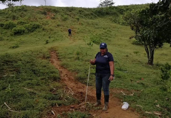 Este caso fue atendido por la Sección de Seguridad Hídrica y Forestal de MiAmbiente. Foto: Diomedes Sánchez
