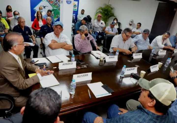 MIDA y Cadena de Arroz aprueban importación. Foto: Cortesía