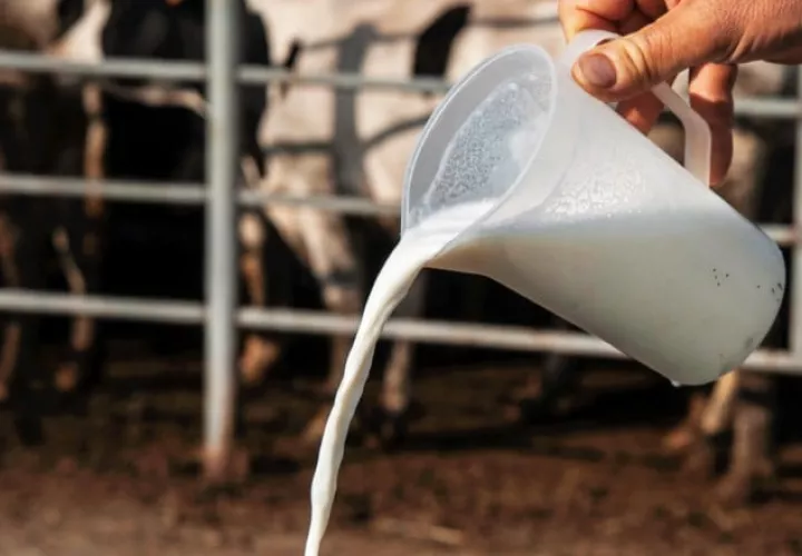 En la actualidad existen diferentes tipos de pasteurización, que buscan preservar la salud. EFE