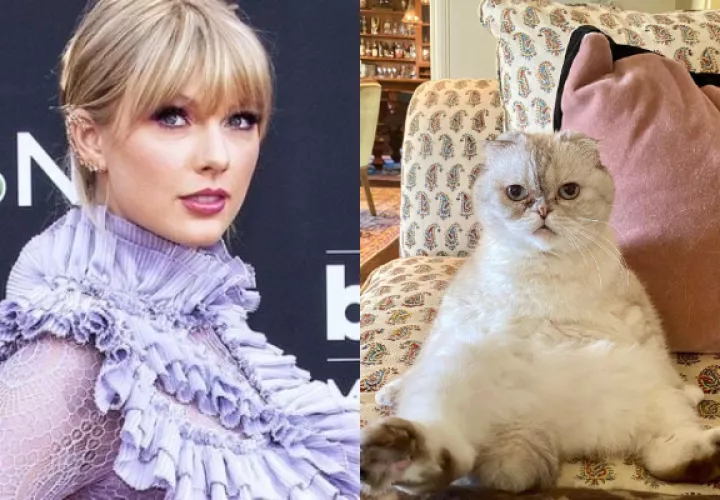 Taylor Swift y su gata fold escocés, Olivia Benson. Fotos: Archivo / @taylorswift