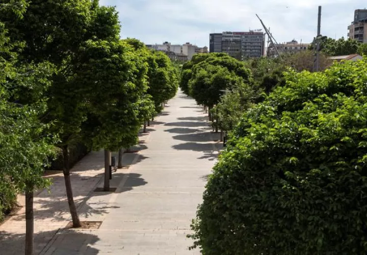 Las áreas verdes son reservorios de la diversidad biológica asociadas con los  espacios urbanos. EFE