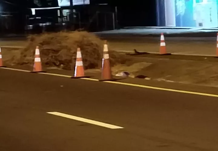 El accidente se registró cerca delas 10:30 de la noche, según confirmó la Dirección Nacional de Operaciones del Tránsito de la Policía Nacional. Foto. Eric Montenegro