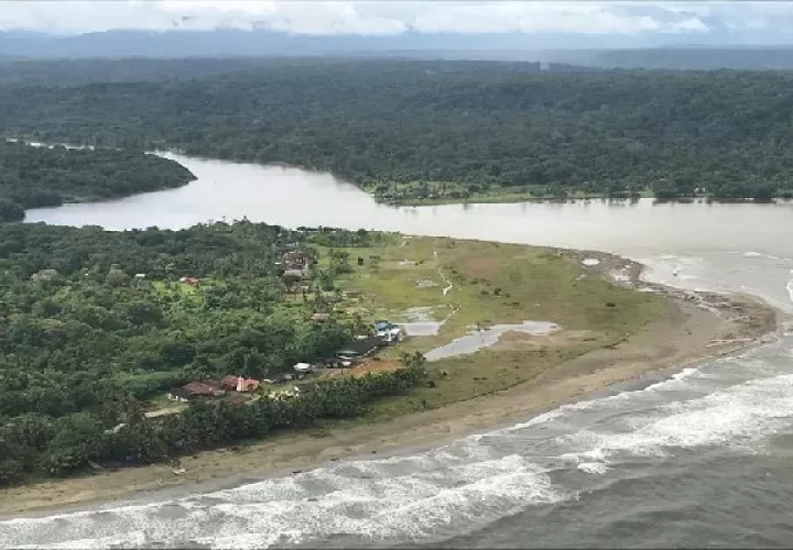 Se mantienen restricciones de movilidad de aves en Panamá Oeste y al Norte de Veraguas. Foto. Archivo