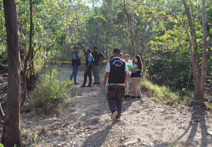 En el sitio las autoridades encontraron restos de ropa de diversos colores esparcida por el área del manglar. Foto. Eric Montenegro