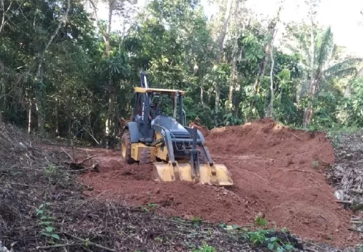 El sector invadido cuenta con un equipo guardaparques que están encargados de velar por la seguridad de la zona. Foto. MiAmbiente