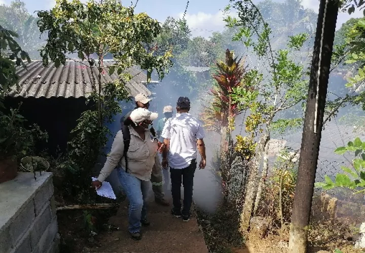 Se realizan varios operativos de fumigación en las áreas donde se han detectado criaderos. Foto. Diomedes Sánchez 