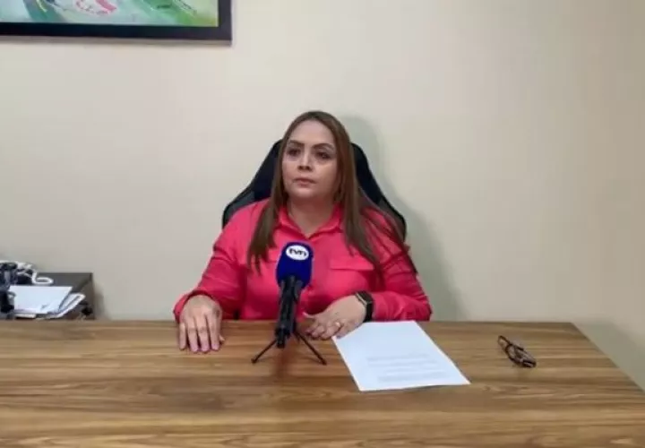 La subsecretaria general de CD, Dana Castañeda. 