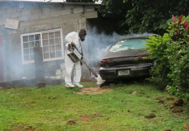 Es importante evitar los criaderos de mosquitos y fumigar. Foto: Minsa