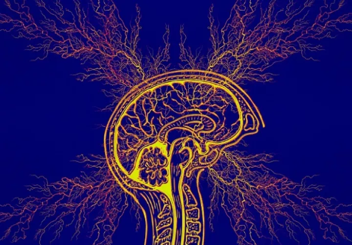 Cualquier persona puede padecer epilepsia. Foto: Ilustrativa/Pixabay