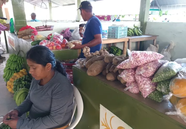 La actividad será del 2 al 6 de febrero. Foto / Melquiades Vásquez.