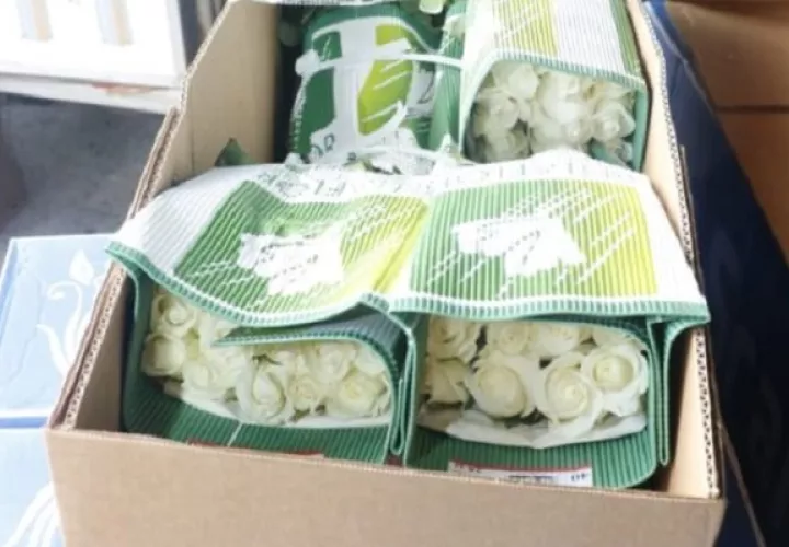 Unas 26 empresas autorizadas realizaron la solicitud de ingreso de las flores. Foto: MIDA