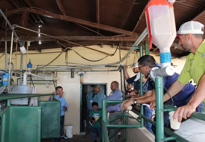 El programa también almacena datos  de las vacas, fecha de nacimiento, progenitores. Foto: Senacyt