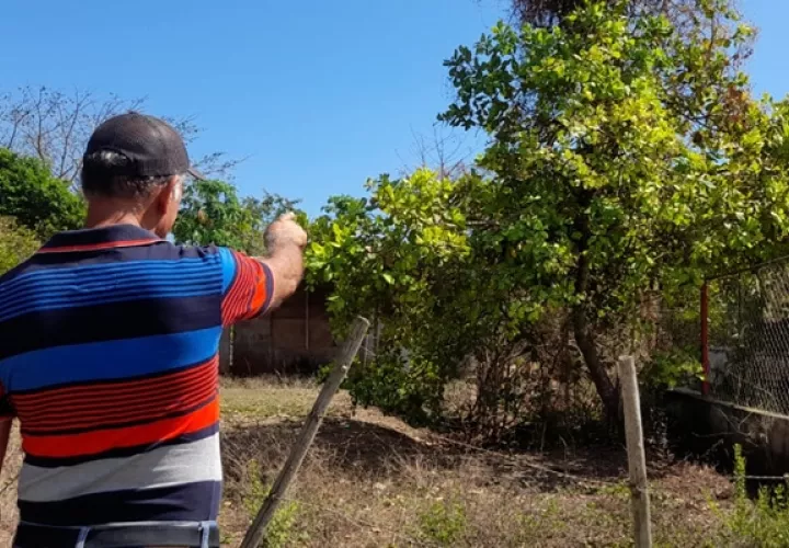 Técnicos brasileños viajarán a Panamá para aportar su experiencia. Foto / Eric Montenegro.