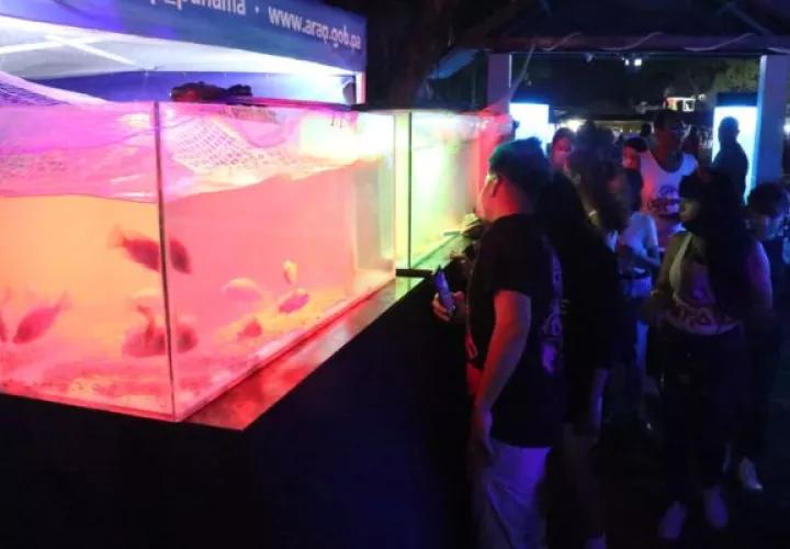 Exhibición de peces en la Feria de La Chorrera. Foto: ARAP