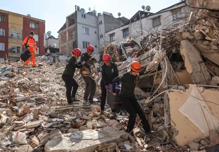 Todavía hay rescates del terremoto del pasado 6 de febrero. En esta ocasión, un perro con sus cinco cachorros. Foto: EFE