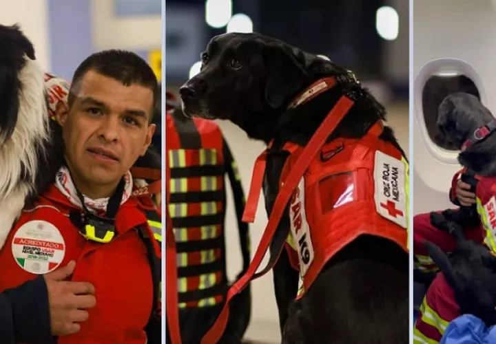 Binomio canino (perros y entrenadores). Foto: @m_ebrard