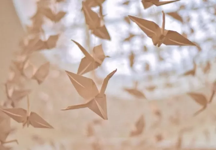 El 1 de abril, habrá un Taller de Origami. Foto: Instagram / Pexels
