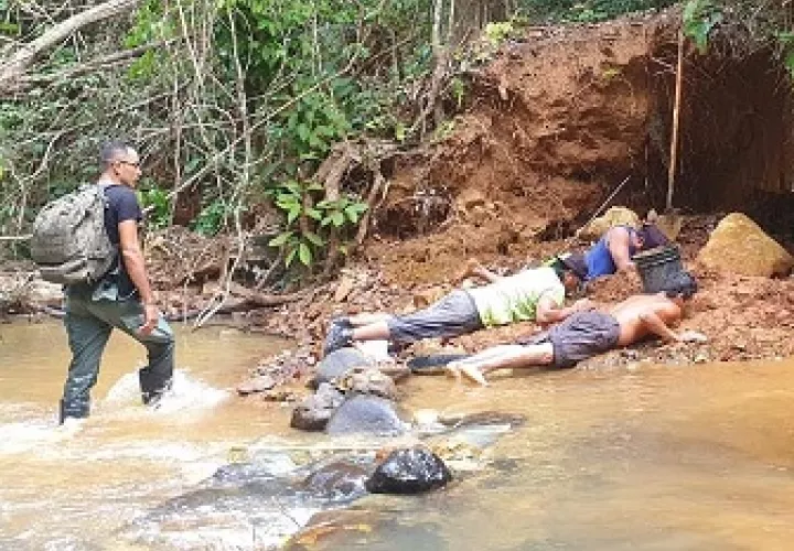  Se les sorprendió en el sector conocido como Guarumal, que pertenece al corregimiento de Caimitillo. Foto: Diomedes Sánchez