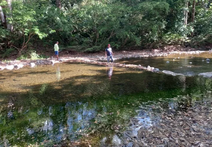 Las primeras represas fueron detectadas en el sector de El Nanzal, corregimiento de Sorá y se extendían hasta las cercanías del puente sobre el río Chame en la vía Interamericana. Foto. Eric Montenegro
