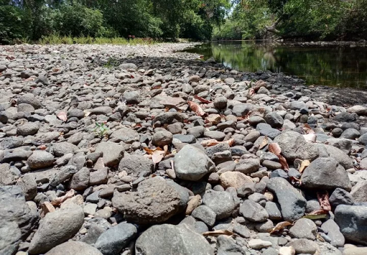 Desde el 2016, cuando se registró el Fenómeno Atmosférico de El Niño, no se había observado un nivel tan bajo en el río Chame. Foto. Eric Montenegro