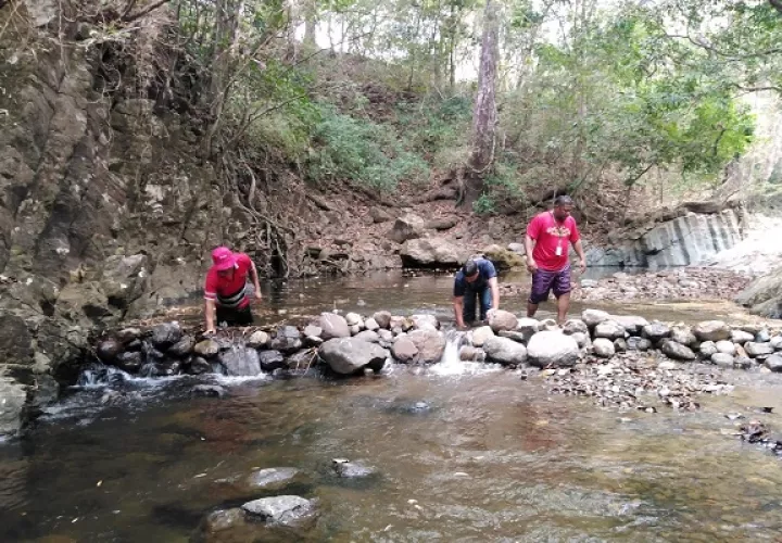 El Municipio de Chame inició un proceso de destrucción de más de 100 mini represas a lo largo del cauce de este río. Foto. Eric Montenegro