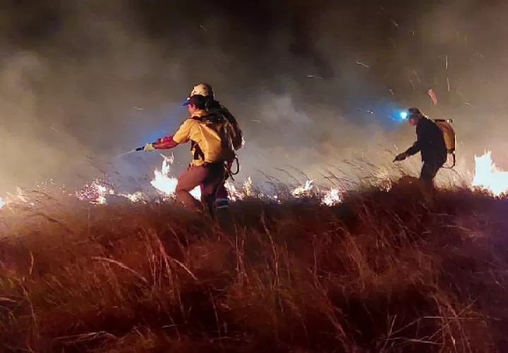 Este Incendio de Masa Vegetal se convierte en el primero del año, dentro de área protegida en la provincia de Chiriquí. Foto. Cuerpo de Bomberos