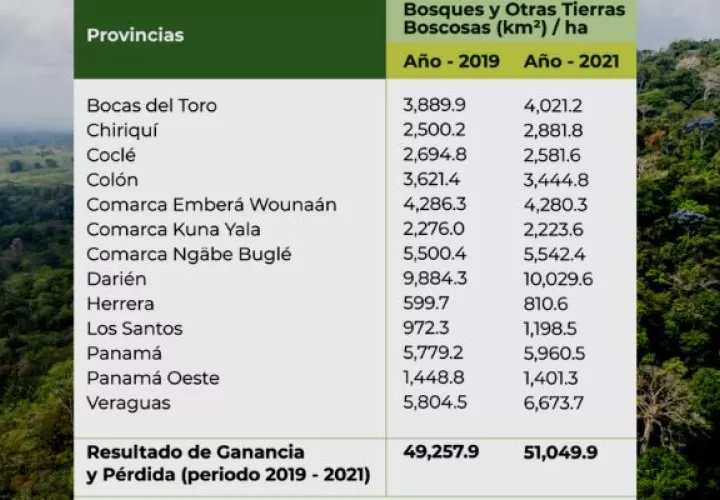 Panamá celebra el Día Internacional de los Bosques. Foto: Cortesía
