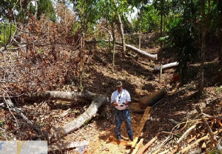 Las autoridades precisaron que no lograron ubicar a los infractores, pero han iniciado las investigaciones. Foto. MiAmbiente