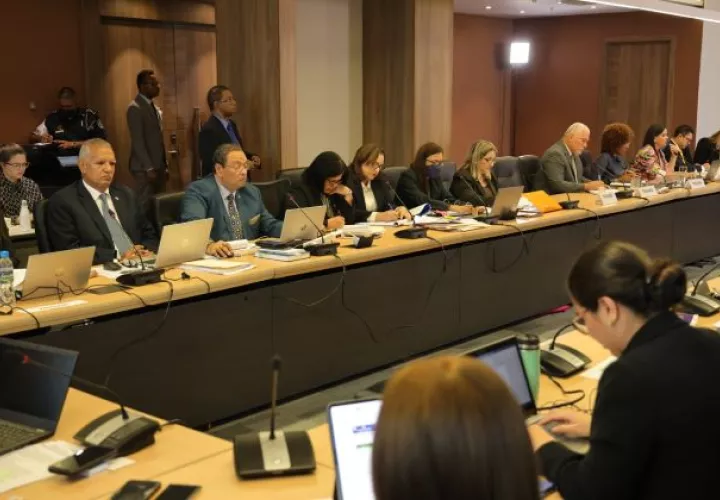El Comité de Derechos Humanos es el órgano de expertos independientes que supervisa la aplicación del Pacto Internacional de Derechos Civiles y Políticos.