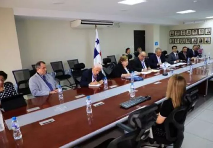 La comisión  está dirigida por la viceministra de Economía, Enelda Medrano de González.