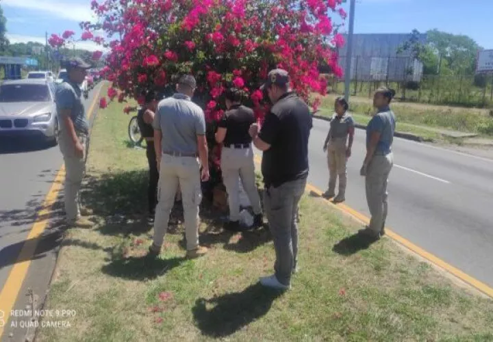 En el operativo se captaron 29 hombres, 27 mujeres y 29 menores de edad.
