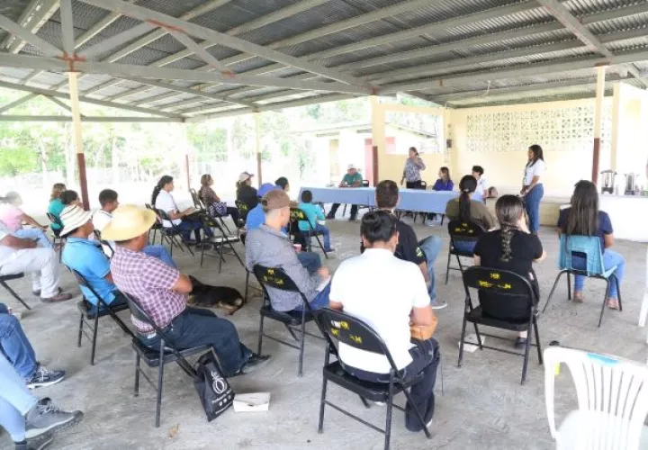 El Programa de Innovación Social para la Inclusión y la Productividad es una iniciativa financiada por el Banco Interamericano de Desarrollo (BID).