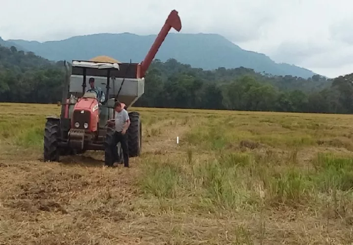 En la reunión de este miércoles participaron productores de Los Santos, Coclé, Chiriquí, Veraguas y Chepo. Foto. Melquíades Vásquez