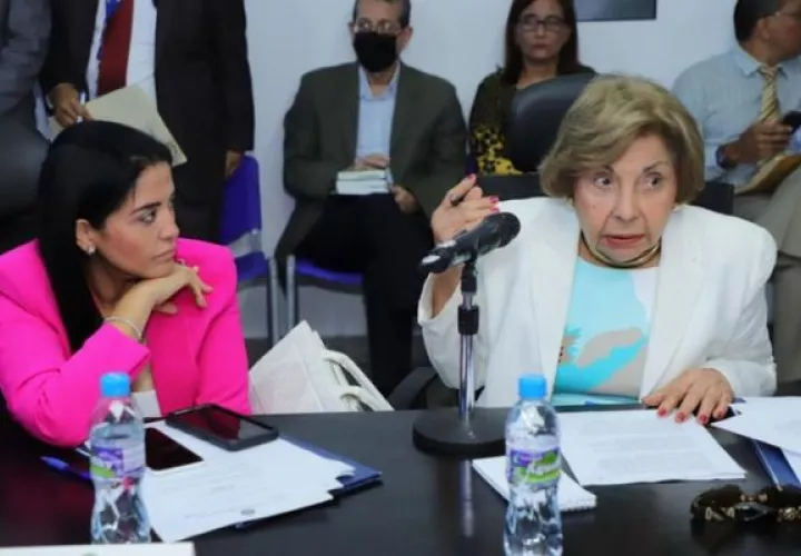La proponente del proyecto de ley es la diputada Mayín Correa. Foto: Cortesía Asamblea Nacional