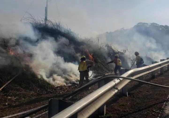 Hay un incremento de 316 casos en comparación con marzo de 2022. Foto: Cortesía Bomberos 