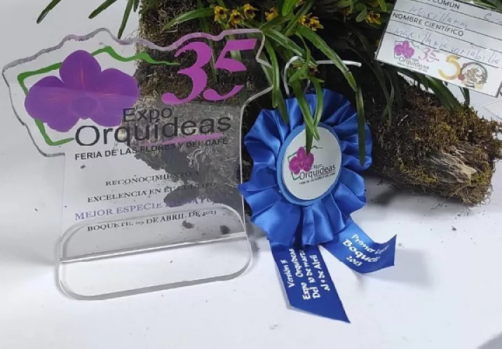 Se exhibieron gran cantidad de plantas y orquídeas. Foto. José Vásquez