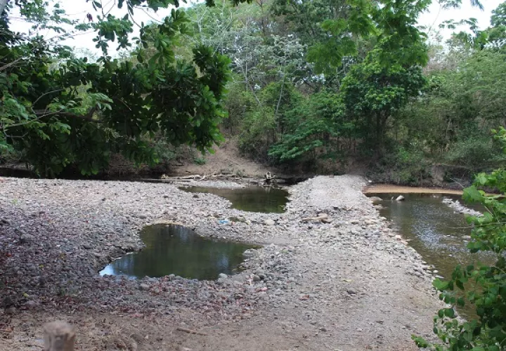 Se debe suspender cualquier extracción o retención de agua no autorizada para que el vital líquido pueda llegar a la parte baja a donde están las comunidades y los humedales. Foto. Eric Montenegro
