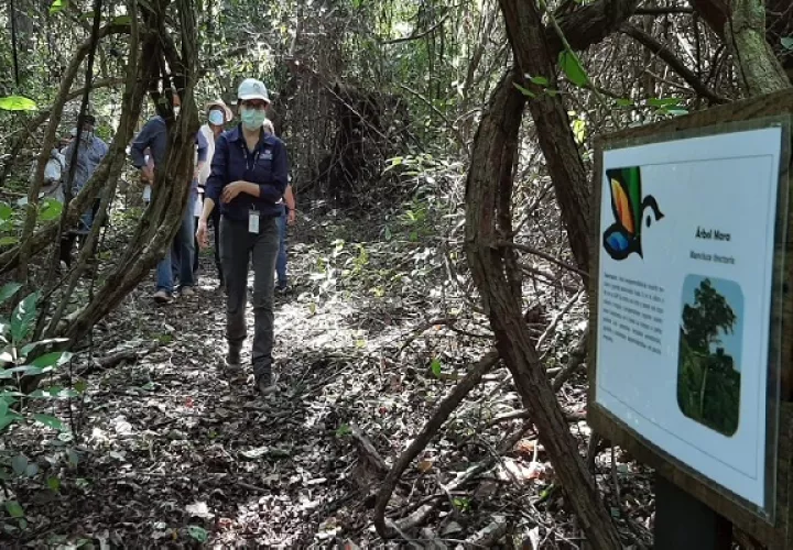 Este sendero se ubica a unos 45 minutos de la ciudad de David, los visitantes  pueden realizar aviturismo. Foto: Mayra Madrid 