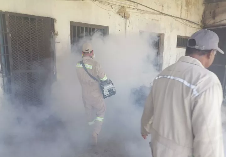Actualmente, en la provincia de Colón se registran 244 casos de dengue, de los cuales 195 son sin signos de alarma, 46 con signos de alarma y tres son casos graves. Foto. Diomedes Sánchez
