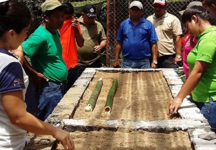 La docencia es clave en el posicionamiento del bambú en el país. Foto: Cortesía