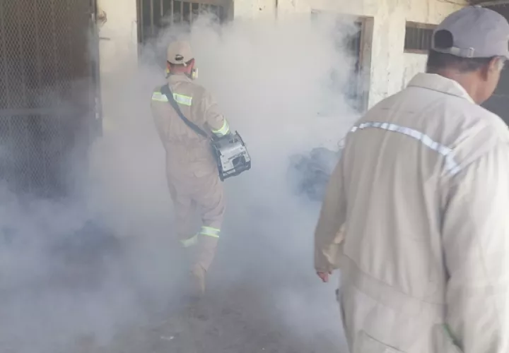 El año pasado se registraron 118 casos de dengue en la costa atlántica. 