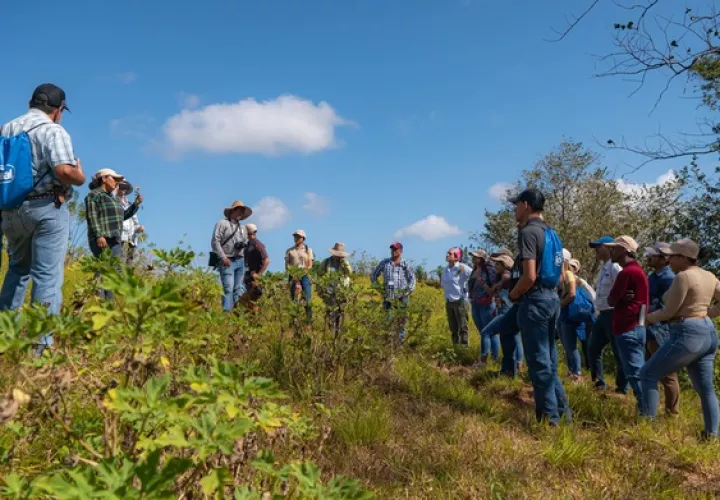 Con estas capacitaciones se espera mejorar la productividad. Foto: Cortesía