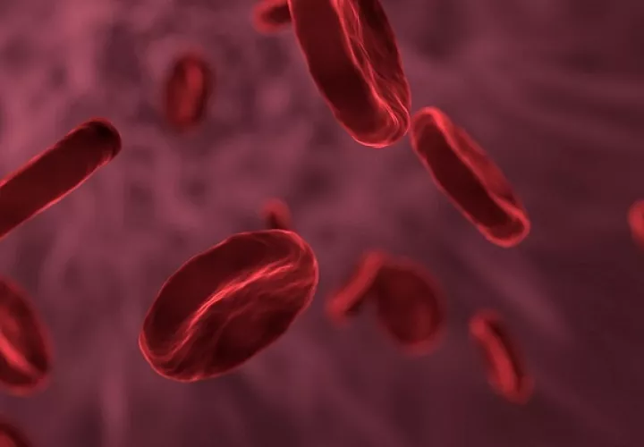 La lucha contra la hemofilia continúa. Foto: Ilustrativa/Pixabay