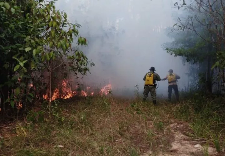 Desde enero, los Bomberos de Panamá han respondido a 2,890 llamadas por incendio de masa vegetal. Foto: Cortesía
