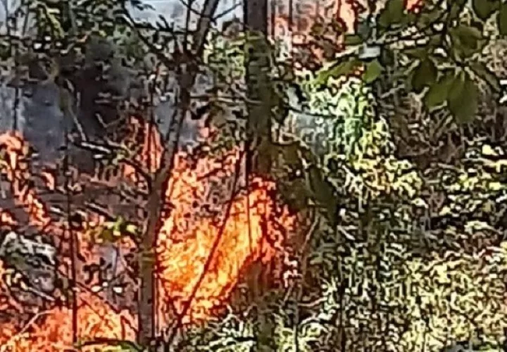 El fuego amenaza con extenderse a otras áreas. Foto: Melquiades Vásquez